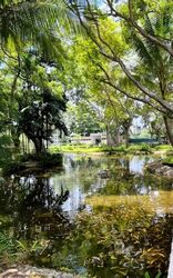 Bayshore Park (D16), Condominium #602082771